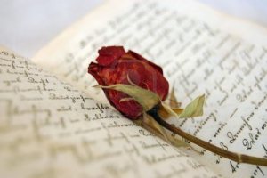 2530504-dried-red-rose-on-an-open-old-book